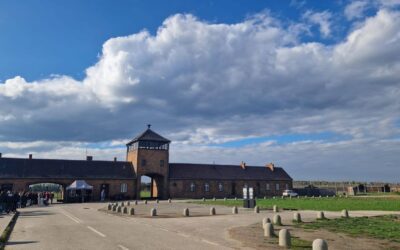 Lekcja historii – Muzeum Auschwitz-Birkenau