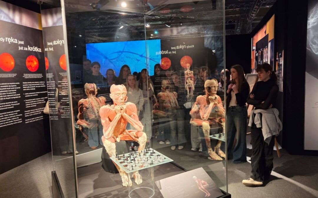 Body Worlds we Wrocławiu
