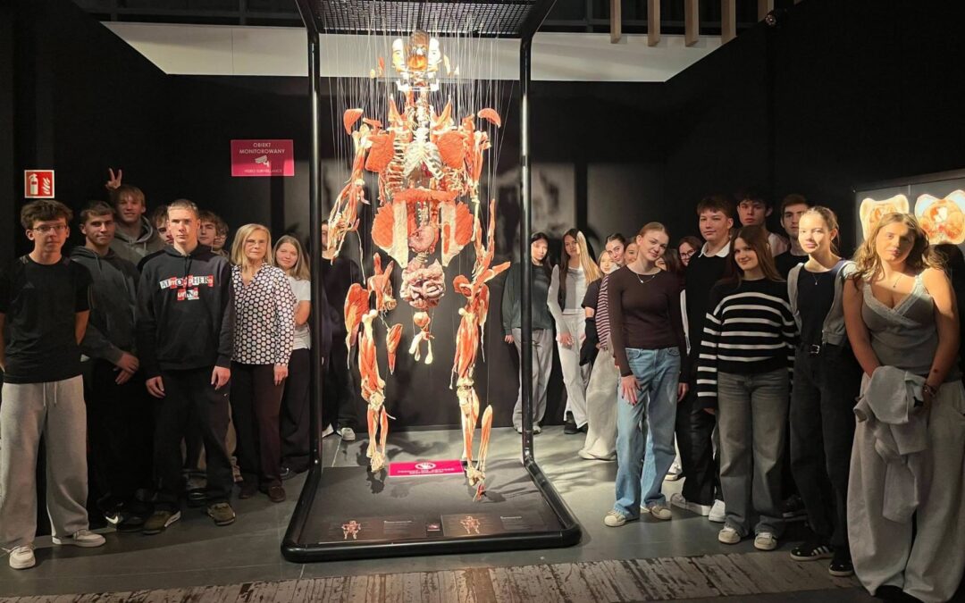 Body Worlds Vital